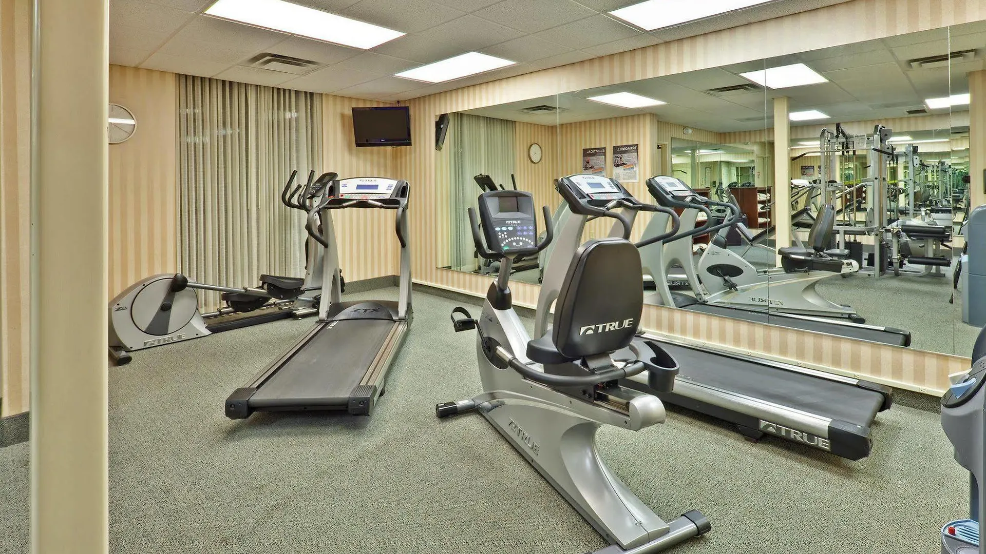 Hotel Staybridge Suites Memphis-Poplar Ave East By Ihg